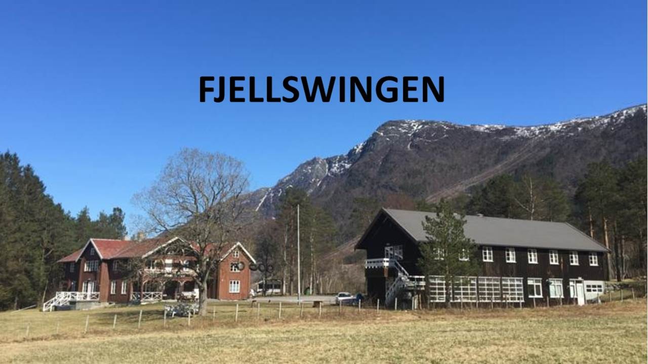 FJELLSWINGEN
